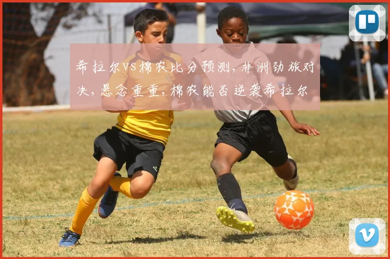 希拉尔vs棉农比分预测,非洲劲旅对决,悬念重重,棉农能否逆袭希拉尔