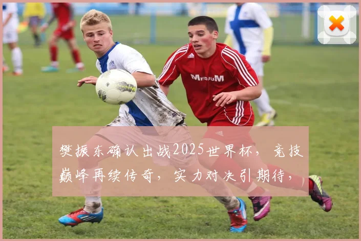 樊振东确认出战2025世界杯，竞技巅峰再续传奇，实力对决引期待，精彩不容错过