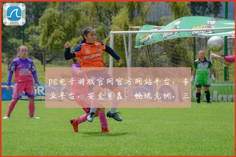 pg电子游戏官网官方网站平台，专业平台，安全可靠，畅玩无忧，三重保障，必选之地，体验非凡